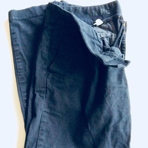 J Crew Women’s ANDIE Chino pants